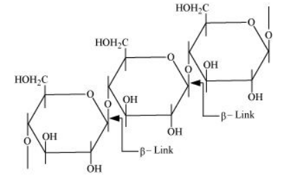 NCERT Solutions for Class 12  Chemistry Chapter 14 - Biomolecules