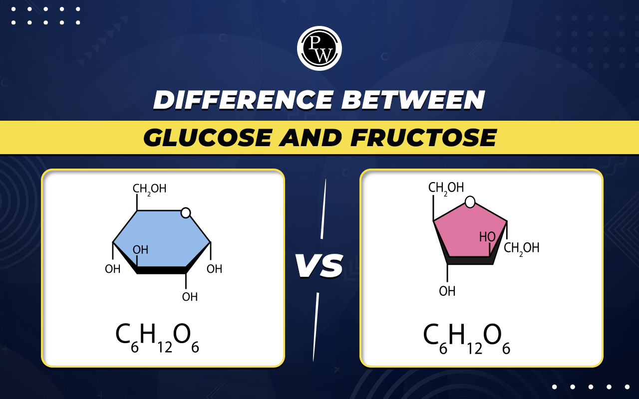Difference Between Glucose and Fructose