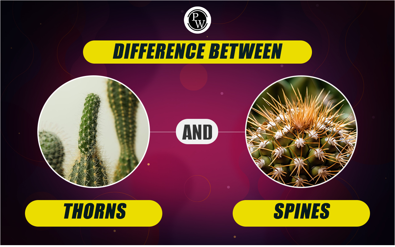 Difference Between Thorns And Spines