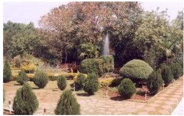 Types And Distribution Of Forest