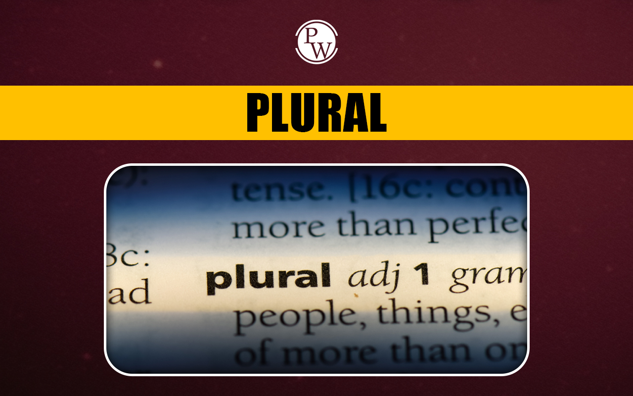 Plural Noun