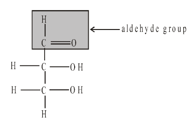 Structural Polysaccharides