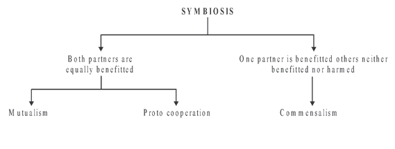 symbiosis