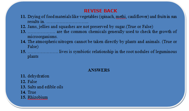 nitrogen cycle revision