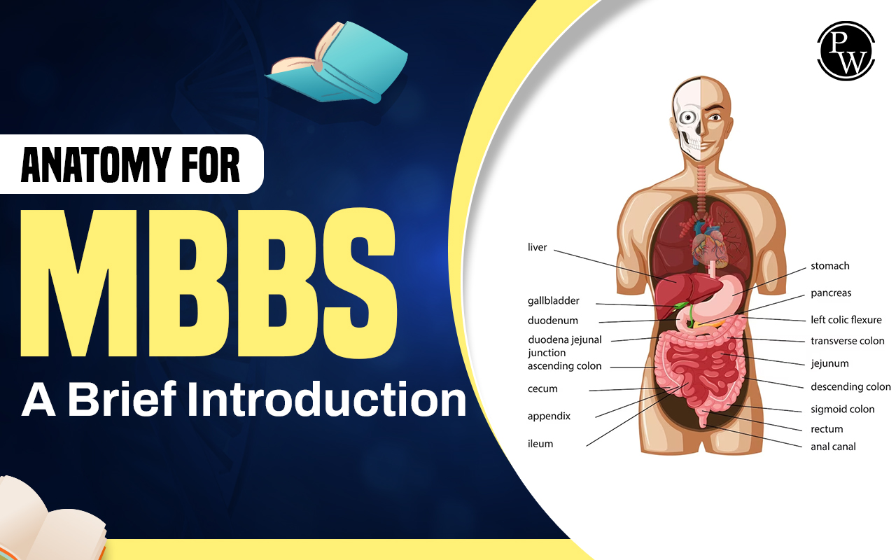 Anatomy Preparation Tips