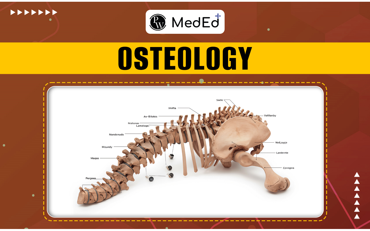 Osteology