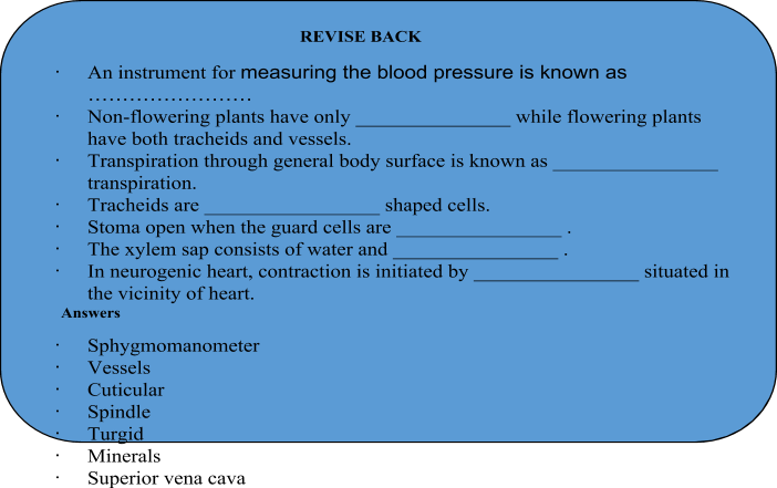 Circulatory System