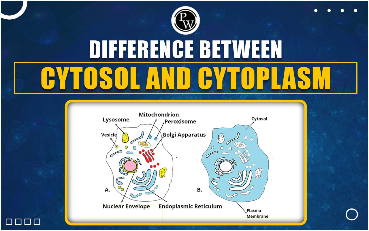 Difference Between Cytosol and Cytoplasm