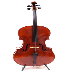 Cello Musical Instruments Names