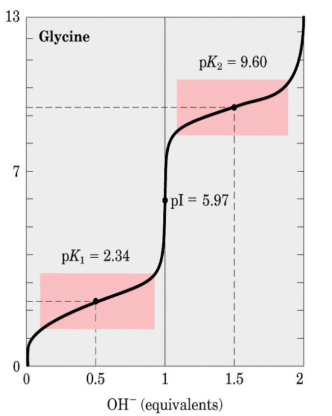 CALCULATION OF pI