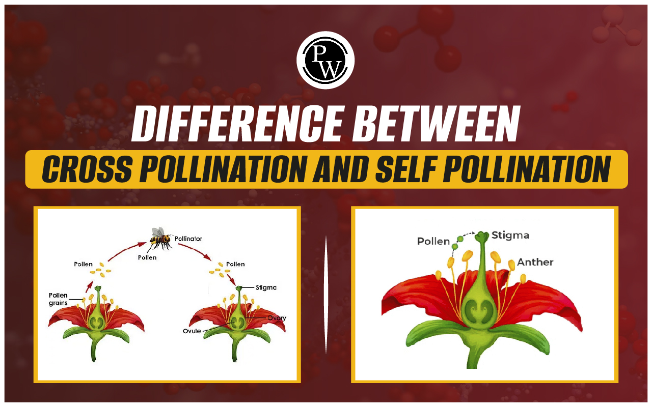 Difference Between Cross-Pollination And Self-Pollination