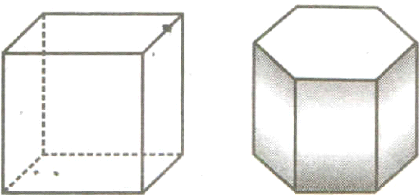 POLYHEDRONS AND NON-POLYHEDRONS